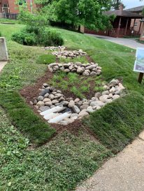 article image - Rain gardens 5